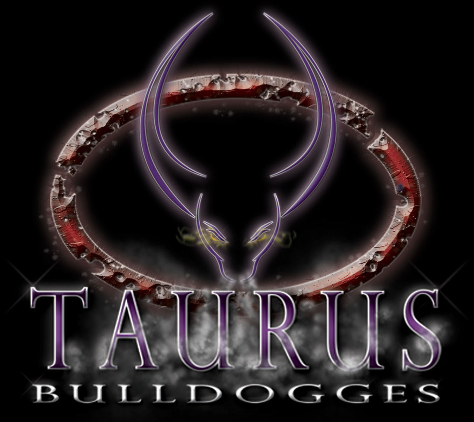 TaurusBulls